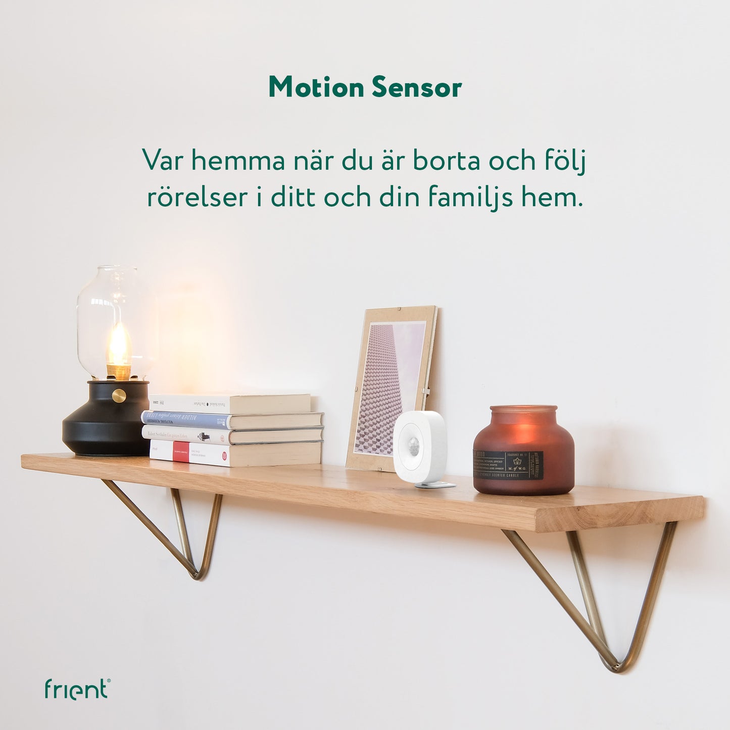 frient - Motion Sensor Pro