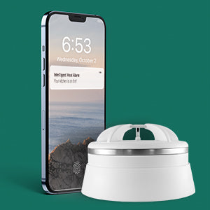 frient - Intelligent Heat Alarm